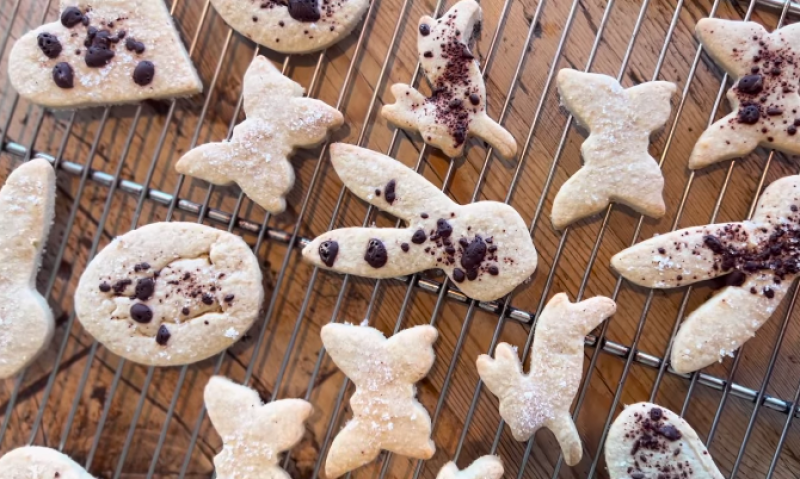 Receta básica de cookies